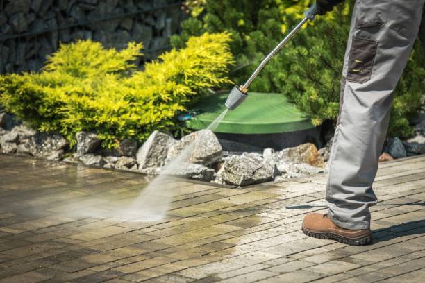 Best Boat and Dock Cleaning  in Gumlog, GA